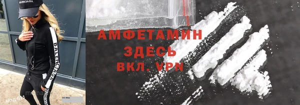 сатива Верхний Тагил