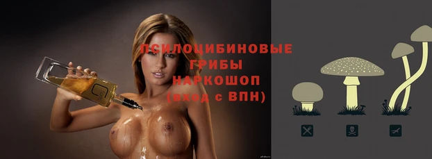 сатива Верхний Тагил