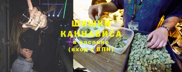 сатива Верхний Тагил