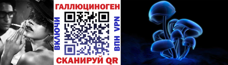 Галлюциногенные грибы Cubensis  Купить где  Менделеевск 